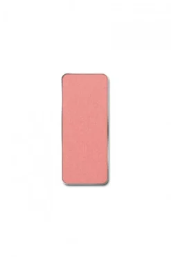 PIERRE RENE Rouge Powder Palette Match System róż do twarzy - 02