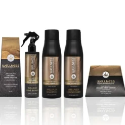 WELLNESS PREMIUM PRODUCTS Wellplex All In Set zestaw