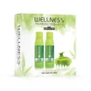 WELLNESS PREMIUM PRODUCTS zestaw zielony (szampon 500ml, odżywka 500ml, zielony masażer do włosów)
