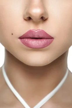 WTB Professional pomadka do ust 4w1 #Sensual violet