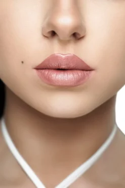 WTB Professional pomadka do ust 4w1 #Silky nude