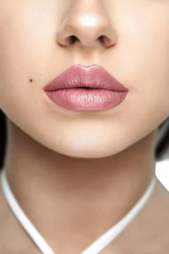 WTB Professional pomadka do ust 4w1 #Smokey pink