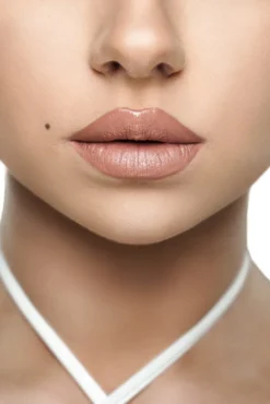 WTB Professional pomadka do ust 4w1 #Dusty nude